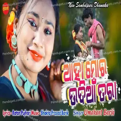 Ahamor Udiyan Tara - Ratan Pujhari