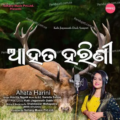 Ahata Harini - Amrita Nayak album cover 