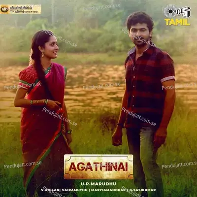 Ilaikalile Sadugudu Nadathudhu Panithuliye - Sakthi Sree Gopalan album cover 