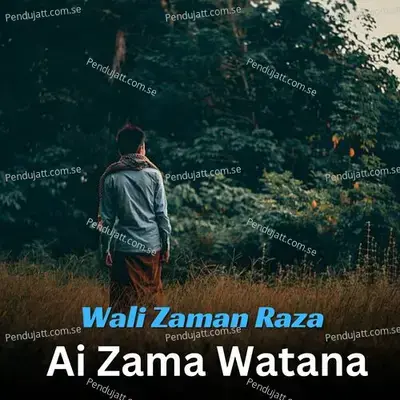 Huhkay Marha Marha Toyawa - Wali Zaman Raza album cover 