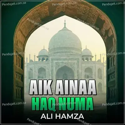Aik Ainaa Haq Numa - Ali Hamza album cover 