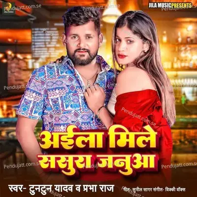 Aila Mile Sasura Janua - Tuntun Yadav album cover 