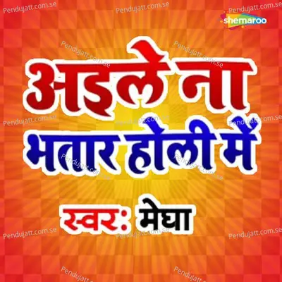 Aile Na Bhatar Holi Me - Megha album cover 