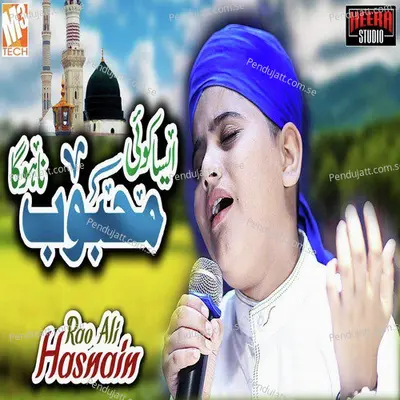 Aisa Koi Mehboob Na Hoga - Rao Ali Hasnain album cover 