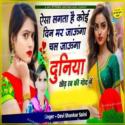 Aisa Lagta Hai Koi Din Mar Jaunga Chal Jaunga Dunia Chhod Rab Ki God Mai - Devi Shankar Saini album cover 