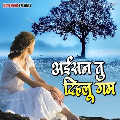 Aisan Tu Dihalu Gam - Various Artists cover album