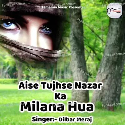 Aise Tujhse Nazar Ka Milana  Hua - Dilbar Meraj album cover 