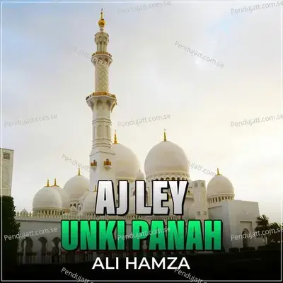 Aj Ley Unki Panah - Ali Hamza album cover 
