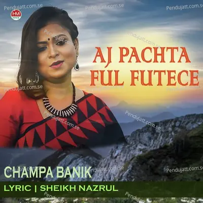 Aj Pachta Ful Futese - Champa Banik album cover 