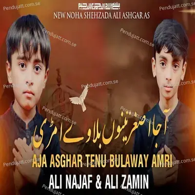 Aja Asghar Tenu Bulaway Amri - Najaf Ali album cover 