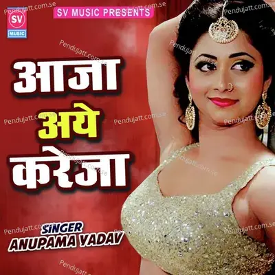 Aja Aye Kareja  Bhojpuri  - Anupama Yadav