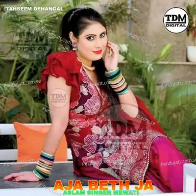 Aja Beth Ja - Tahseem Dehangal album cover 