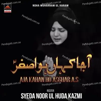 Aja Kahan Ho Asghar As - Syeda Noor Ul Huda Kazmi album cover 