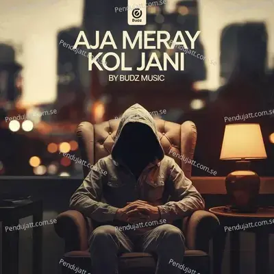 Aja Meray Kol Jani wav - BudZ Music album cover 