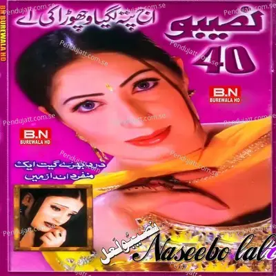 Ajj Pata Lagya Vichhora Ke - Naseebo Lal cover album