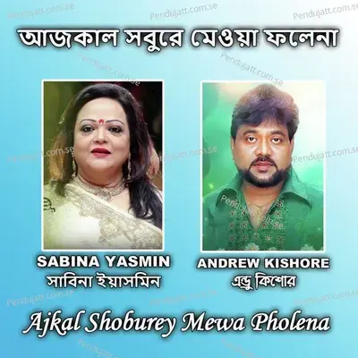 Ajkal Shoburey Mewa Pholena - Sabina Yasmin album cover 