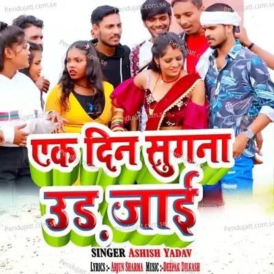 Ak Din Sugna Ud Jai - Ashish Yadav album cover 