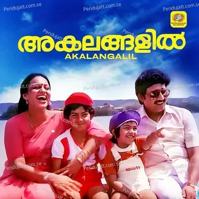 Illilam Poo Ithiripoo Chithirakkaattiloraayiram Kingini Poo - J M Raju album cover 