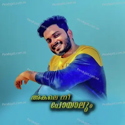 Akale Nee Poyalum - Bibin Babu album cover 