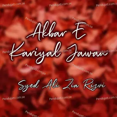 Hae Chacha Jan Mere - Syed Ali Zia Rizvi album cover 