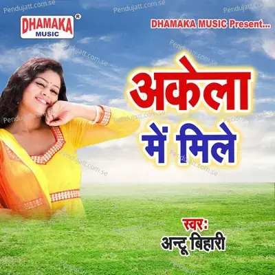 Ham Mar Jaib Re - Antu Bihari album cover 