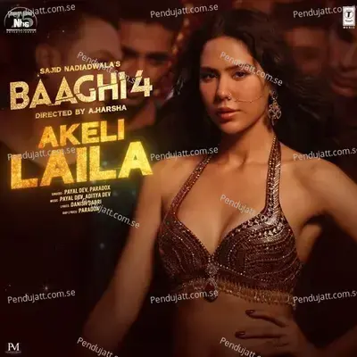Akeli Laila - Danish Sabri album cover 