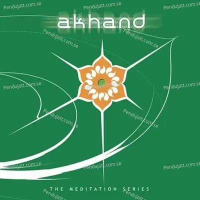 Divine Vibration - 1 - Krishna Raj album cover 