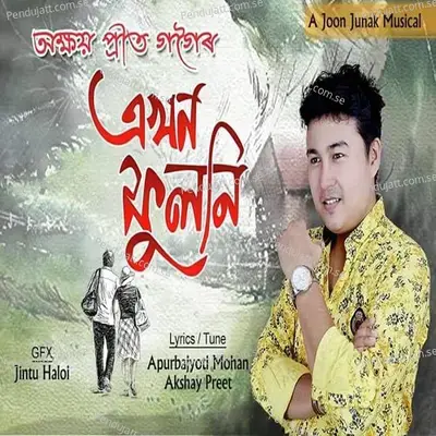 Akhon Phuloni - Akshay Preet Gogoi album cover 