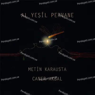 Arayıp Gezerken - Metin Karausta album cover 