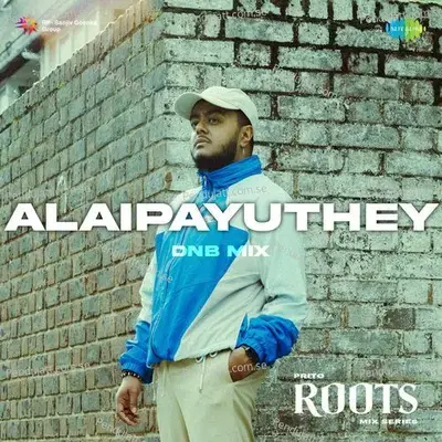 Alaipayuthey - Dnb Mix - Prito album cover 