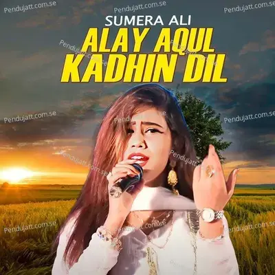 Alay Aqul Kadhin Dil - Sumera Ali album cover 