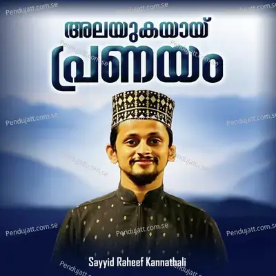 Alayukayay Pranayam - Sayyid Raheef Kannanthali album cover 