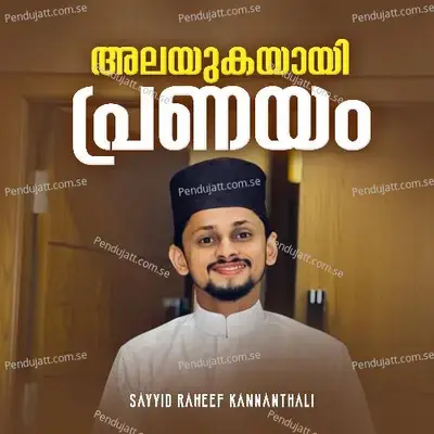 Alayukayayi Pranayam - Sayyid Raheef Kannanthali album cover 