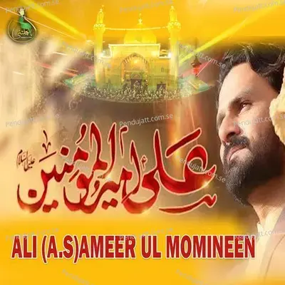 Ali Ameer Ul Momineen - Shahid Ali Rizvi Panjtani album cover 