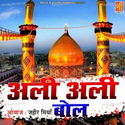 Al Madad Ya Nabi - Zaheer Miyan album cover 