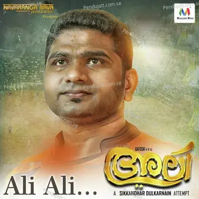 Ali Ali - Zia Ul Haq album cover 