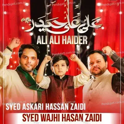 Ali Ali Haider - Syed Wajhi Hasan Zaidi album cover 