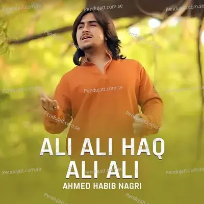 Ali Ali Haq Ali Ali - Ahmed Habib Nagri album cover 