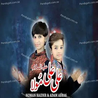 Ali Ali Mola A s - Noman Haider album cover 