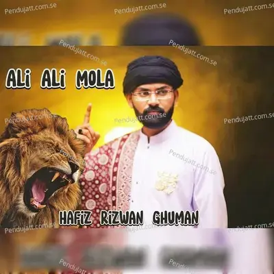 Ali Ali Mola - Hafiz Rizwan Ghuman album cover 