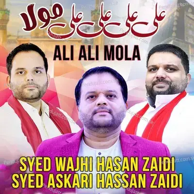 Ali Ali Mola - Syed Wajhi Hasan Zaidi album cover 