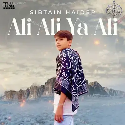 Ali Ali Ya Ali - Sibtain Haider album cover 
