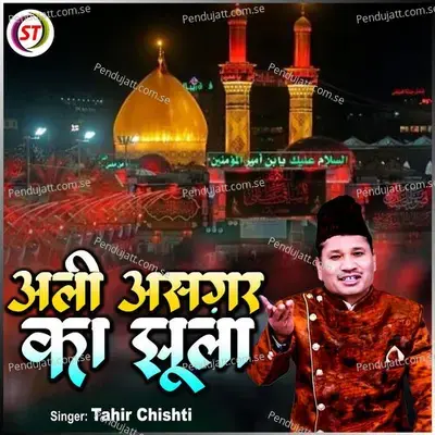 Ali Asgar Ka Jhula - Tahir Chishti album cover 