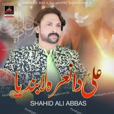 Ali Da Nara La Bandeya - Shahid Ali Abbas album cover 