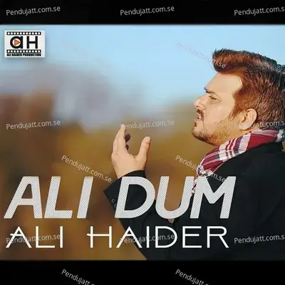Dama Dam Mast Qalandar - Ali Haider album cover