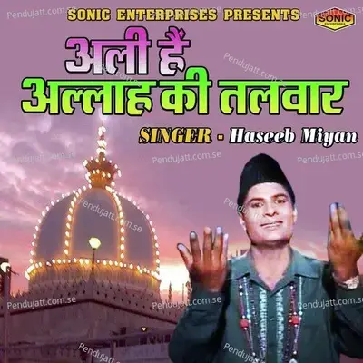 Ali Hain Allah Ki Talwar - Haseeb Miyan album cover 
