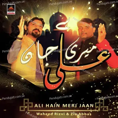 Ali Hain Meri Jaan - Waheed Rizvi album cover 