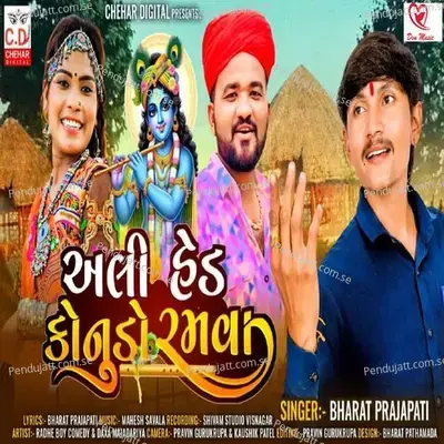 Ali Hed Konudo Ramva - Bharat Prajapati album cover 