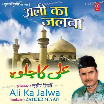 Mera Peer Dastgeer - Raju Khan album cover 