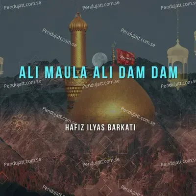 Ali Maula Ali Dam Dam - Hafiz Ilyas Barkati album cover 